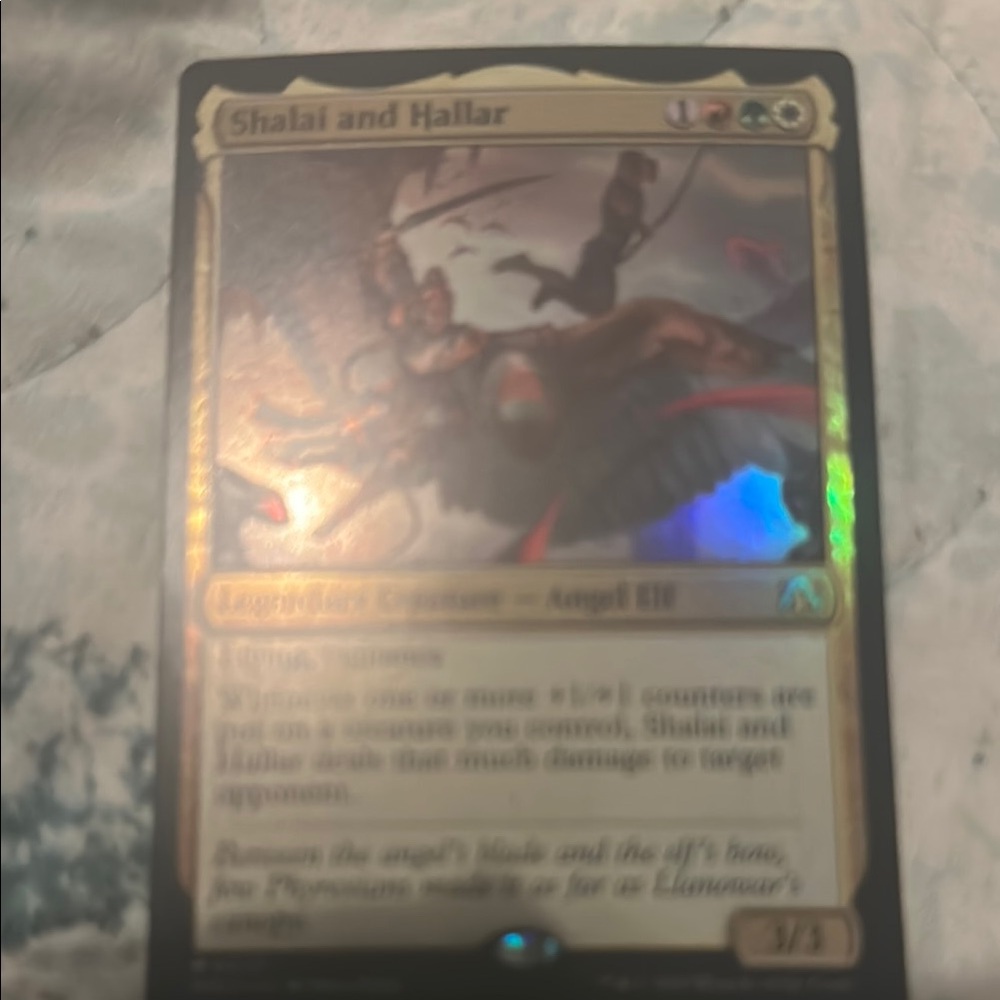 Magic: The Gathering Shalai and Hallar Card - Multicolor